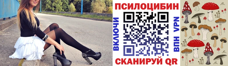 Псилоцибиновые грибы GOLDEN TEACHER цены Абинск